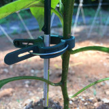 Fastener Greenhouse Bracket Pole Fixed Clamp Plants Flower Seedling Stem Support Plant Grafting Stakes Connector Clip