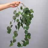 The green plant wall hangs adornment simulates the plant turtleback leaf rattan
