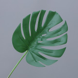 Simulation plant turtleback leaf wedding home decoration decoration pieces of potted plant wholesale