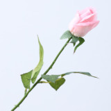 Spot Wholesale Artificial Flower Multicolor Artificial Feel Moisturizing Rose Decoration For Wedding