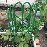 In Stock Indoor Plant Trellis Bundle Pack 3 Climbing Garden Leaf Shape Supports Indoor Planting Tools