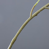 Simulated flower snow lotus wedding decoration home artificial flower shooting props flower ornaments manufacturers wholesale