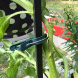 Fastener Greenhouse Bracket Pole Fixed Clamp Plants Flower Seedling Stem Support Plant Grafting Stakes Connector Clip