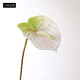 Eva pink small size simulation flower plant potted large anthurium