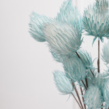 Emulation of green plant Damaodan fruit EVA soft plastic artificial flower INS Nordic style home decoration photography