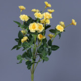 Holding wedding photography simulation of a small rose home to bouquet of Chinese rose