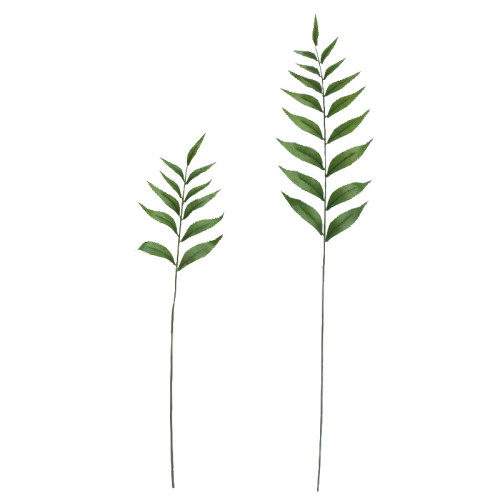 Single toothed green plants in northern Europe contracted home window decoration emulation of wind shadow leaves