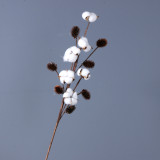 Handheld home decor bottle flower simulation of a single long stem natural cotton dried flowers