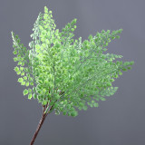 A bunch of fern leaves, fishtail pine, ginkgo, wedding ornaments, home decoration, indoor artificial plants