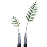 Single toothed green plants in northern Europe contracted home window decoration emulation of wind shadow leaves