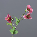 Simulation 3D Christmas rose small single branch African desert flower home wedding artificial flower manufacturers wholesale