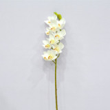 Artificial simulation of Cymbidium home wedding decoration Phalaenopsis flower arrangement accessories manufacturers