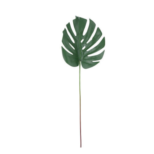 Simulation plant turtleback leaf wedding home decoration decoration pieces of potted plant wholesale