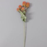 Artificial succulent potted vase with floral arrangement decorated with nice thistle flowers