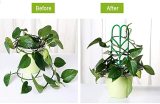In Stock Indoor Plant Trellis Bundle Pack 3 Climbing Garden Leaf Shape Supports Indoor Planting Tools
