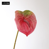 Eva pink small size simulation flower plant potted large anthurium
