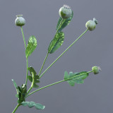 American idyllic wind shooting props home decoration flowers simulation fruit poppy fruit
