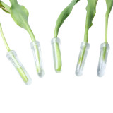 Floral Water Tube Fresh Flower Rose Pick Wedding Party Gift With Cap For Wedding Event Arts Crafts Artificial Flowers
