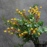 Simulation of small sea urchin Eucalyptus bundle front desk living room decorated with artificial plants