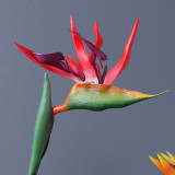 Simulation plant bonsai floor decoration PVC handle plastic bird of paradise