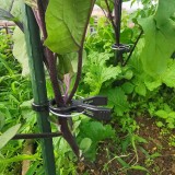 Plastic Garden Plant Tomato Spring Support Clips