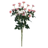 Holding wedding photography simulation of a small rose home to bouquet of Chinese rose