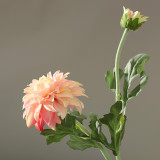 2021 Factory Wholesale Fashion Home Decoration Silk Flower 5 Colors Simulated Dahlia From China