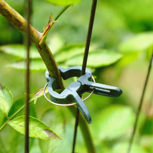 Durable Plastic Plant Support Clips For Types Plants Hanging Vine Garden Greenhouse Vegetables Garden Ornament Home Garden