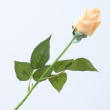 Spot Wholesale Artificial Flower Multicolor Artificial Feel Moisturizing Rose Decoration For Wedding