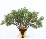Simulated flower bouquet small star flowers small fresh clove fruit bouquet home decoration wedding props flower potted