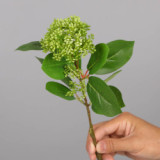 With fruit false leaves home furnishings green plant simulation succulent coral fruit