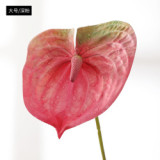 Eva pink small size simulation flower plant potted large anthurium