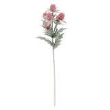 Artificial succulent potted vase with floral arrangement decorated with nice thistle flowers
