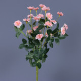 Holding wedding photography simulation of a small rose home to bouquet of Chinese rose