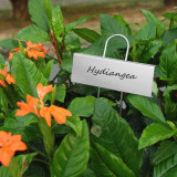 Stainless Steel Metal Plant Signs Flower Pot Potted Plant Marking Gardening Tools Sign Plate