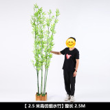 Indoor green decoration landscaping  bamboo balcony courtyard landscaping simulation plant flat headed Moso Bamboo