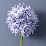 Simulated single meteor Hydrangea home wedding Hotel B & B Inn display flower art