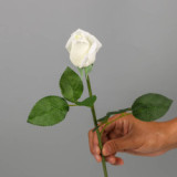 2021 source manufacturer home decoration flower arrangement moisturizing feel rose simulation bud