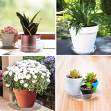 6 Inch 8 Pack Clear Plant Saucers Round Plant Saucer Clear Plastic Garden Plastic Plant Pot Saucers