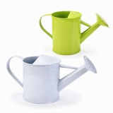 Hot Selling Metal Pot Can Outdoor Garden Watering Can Metal Watering Pot Garden Tin Plant Watering Pot
