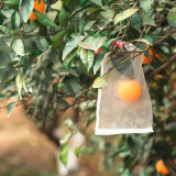 Wholesale Net Bags Fruit And Vegetable Packing Mesh Bag Net Garden Vegetables Fruits Mesh Net Bags