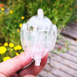 Hot Selling Transparent Mold Growth Forming Mould Tool garden Heart Shape Strawberry Shaping Mold