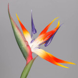 2021New large simulated flowerpot planted with flowers, bird of paradise, orchid