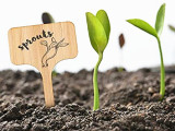 Modern Garden Oily Marker Pen Gardening Plant Label Marker Pen