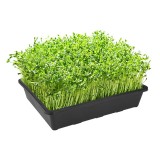 Soil Blocks Wheatgrass With High Hardness Seed Starters Growing Trays Mesh Bottom Micro greens Recycled Plastic Seedling Tray