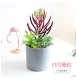 2021Manufacturers wholesale bonsai simulation flowers plastic plant ornaments artificial meat