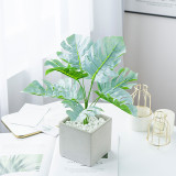 2021New iron bundle potted Nordic style home decoration ornaments 9 simulated green plant turtle back