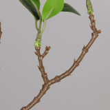 2021 artificial flower plant vase flower arrangement accessories feel Milan leaf