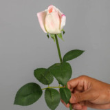 2021 source manufacturer home decoration flower arrangement moisturizing feel rose simulation bud