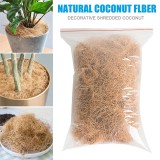 Coconut Shell Fiber Potted Household Green Plant Coconut Fiber